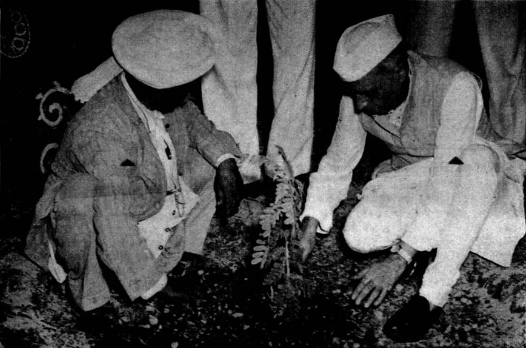 Jawaharlal Nehru planting a tree, 20 July 1947